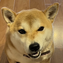 SneakyBoi