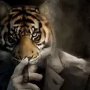 .h4yst.