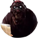 chomcolante_milmk