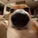 mazemater