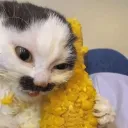 sadegg_baby