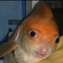 avatar ijustwantfurniture