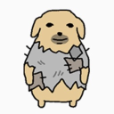 avatar ijustwantfurniture