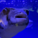 avatar ijustwantfurniture