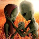 avatar ijustwantfurniture