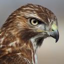 [59thNY(B)] Pvt. Saved-Hawk