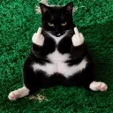 holdmylord