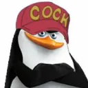 penguini9066