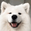 realpeku