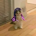 1mquattro