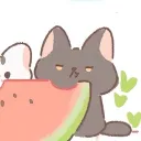 lilcoookiee