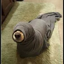 kominekuwu