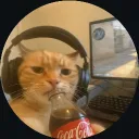 novakxzz