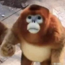 avatar BreadEaterPeter