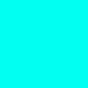 acelil0020