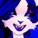 .leshi