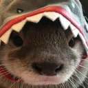 hhur