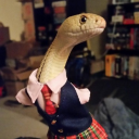 .rutsu.#8789's avatar