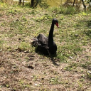 avatar Just nerd medical stuff