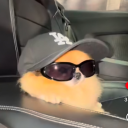 connorv#6140's avatar