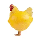 lemonch1cken