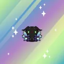 macoki