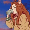 lzk228