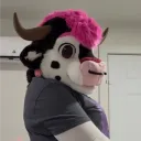 cheesethecow