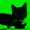 glowtheboi