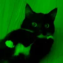 glowtheboi