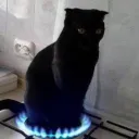 matteblackmemes3838