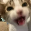 thisisleandro