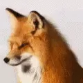lis_70