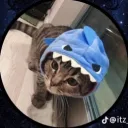 zydraahd