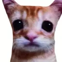 mislizz