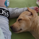 avatar Lady_Damage_1988