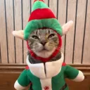 idkdontjudgeclix
