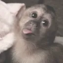 niikkiiii