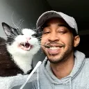 flavachasa