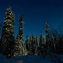 avatar TheSimpleForest