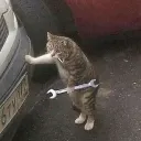 streletskiy