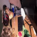 13kasp