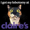 dumbpatrol