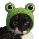 khajiitx