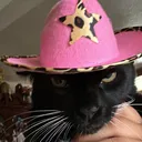 inefz