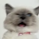 elineah