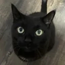 beepboop08