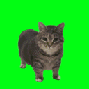 charliefuu69