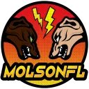molsonflmxg