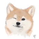 funbuddydoge